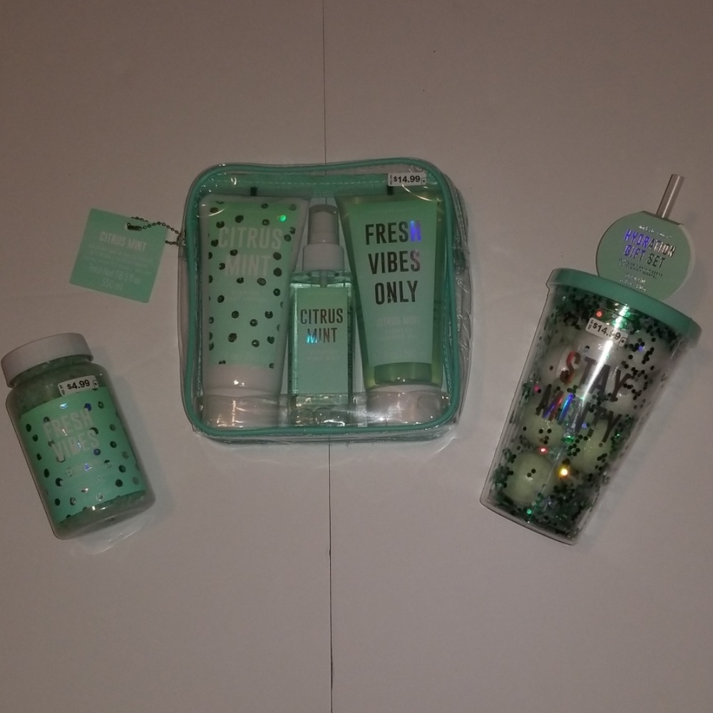 🆓 NWT 6PC SET CITRUS MINT FREE W/ V SECRET OUTFIT
